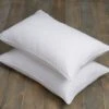 Pack Of 2 Teflon Ultimate Stain Resistant Side Sleeper Pillows -Dunelm Shop 30422250